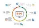 Organic Search Engine Optimization Services Guide