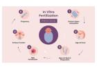 IVF Treatment In Delhi - Dr Rhythm Gupta