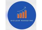 Professional Branding & Marketing Agency