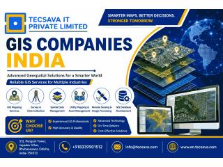 GIS Companies India – Professional Geospatial & Mapping Services
