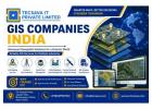 GIS Companies India – Professional Geospatial & Mapping Services