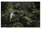 Peru Adventure Packages – Amazon Rainforest and Machu Picchu Tours