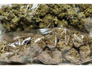 High Grade Medical Marijuana, Hash, BHO, HEMP OILS, THC OILS, Cannabis Oil FOR SALE