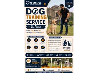 Dog Training Service