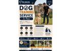 Dog Training Service
