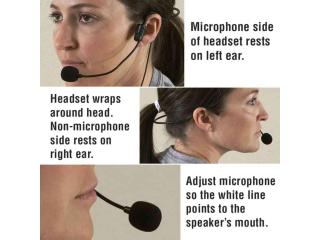 Wireless Microphone with Speaker System