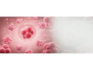 Blood Cancer Treatment Delhi