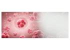 Blood Cancer Treatment Delhi