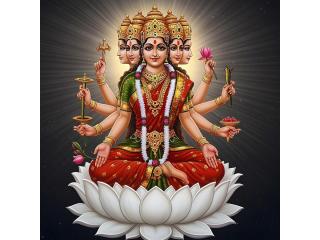 Best Astrologer in Gangavathi - Sri Gayatri Devi Jyothishya Peeta