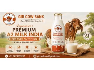 Experience Premium A2 Milk India for Pure Nutrition Every Single Day