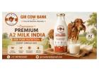 Experience Premium A2 Milk India for Pure Nutrition Every Single Day
