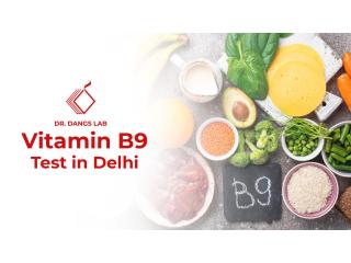 Vitamin B9 Test in Delhi | Dr. Dangs Lab