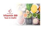 Vitamin B9 Test in Delhi | Dr. Dangs Lab