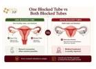 Blocked Fallopian Tubes and Pregnancy: Can You Still Conceive?