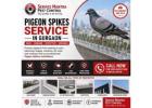Best Pigeon Spikes Service in Gurgaon for Residential and Commercial Spaces