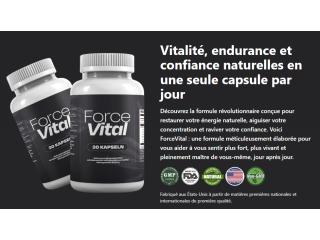 ForceVital France (FR,LU,BE)