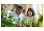 Second Innings Matchmaking Services