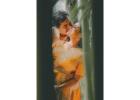 Indian Wedding Photographer DMV Capturing Timeless Love Stories