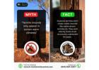 Myth vs Fact