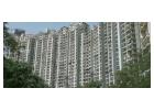 Check out a 2 BHK + 2-bathroom apartment in Noida's Sector 119 for a monthly rent of ₹25,000