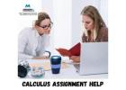 Calculus Assignment Help – Expert Solutions for Better Academic Results