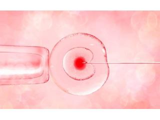 Donor Sperm IVF Noida-Little Angel IVF