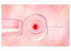 Donor Sperm IVF Noida-Little Angel IVF