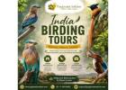 Experience India Birding Tours Like Never Before 