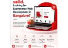 Looking for Ecommerce Web Development in Bangalore?