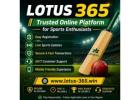 Lotus 365 – Trusted Online Platform for Sports Enthusiasts