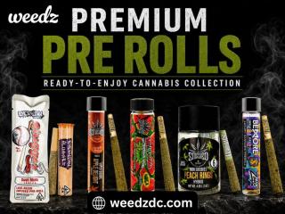 Premium Pre Rolls – Ready-to-Enjoy Cannabis Collection | Weedz DC