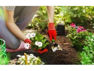 Reclaim Your Outdoor Space This Season