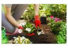 Reclaim Your Outdoor Space This Season