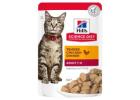 Quality Hills Cat Food For Sale