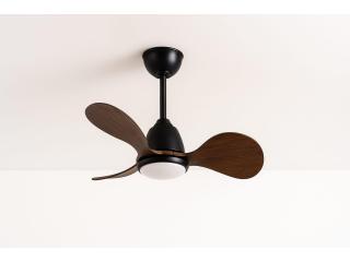 Visual Appeal Designer Ceiling Fan