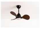 Visual Appeal Designer Ceiling Fan