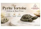 Shop Pyrite Tortoise Crystal Online at Best Price | The Stardust Studio