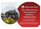 Kaal Sarp Dosh Puja Cost, Benefits & Booking in Trimbakeshwar 