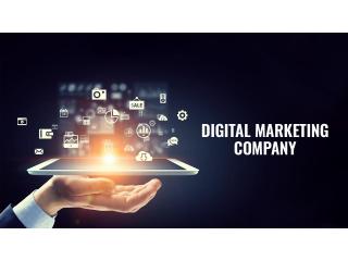 Professional Digital Marketing Company in Delhi NCR