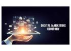 Professional Digital Marketing Company in Delhi NCR