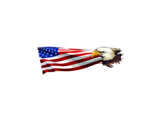 New York Metal Buildings | Custom Steel Building Experts | Patalan 650
