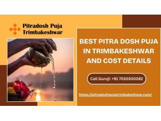 Best Pitra Dosh Puja In Trimbakeshwar And Cost Details