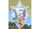 Landscape Maintenance Services in