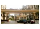 Check out the floor plan of a magnificent 1,315 sq. ft. 3BHK + 2T apartment 