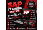 SAP Training in Noida with Certification – Learn & Get Certified