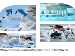 Bsc mlt course in Haryana