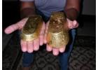 Verified Gold bar Nuggets sale +256790560642 Coltan (Tantalite) ore rough Diamonds