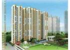 Amrapali Crystal Homes- buy 3 BHK Apartments in Sector 76, Noida