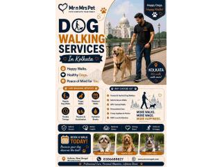 Dog Walking Services