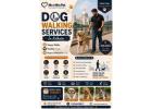 Dog Walking Services